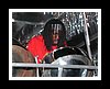 DSCN0687.JPG