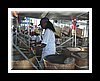 Golden_Hands-373.jpg