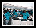 DSCN0668.JPG