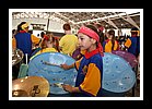 AustraliaIMG_2326.JPG