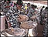 DSCN0114.JPG