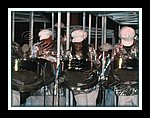 Exodus__DSCN1425.JPG