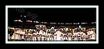 Sforzata__DSCN1359.JPG