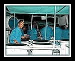 Fascinators Pan Symphony__DSCN0760.JPG