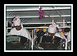 Merrytones__DSCN0783.JPG