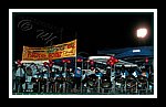 Southern Marines__DSCN0830.JPG