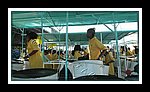 El Dorado_DSCN0355-ed.jpg