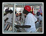 Golden Hands_DSCN0374-ed.jpg