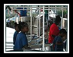 Little Bunch_DSCN0069.JPG