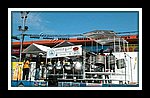 Little Bunch_DSCN0081-ed.jpg