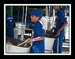 Newtown_DSCN0016.JPG