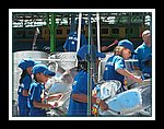 Newtown_DSCN0018.JPG