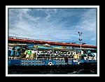 Tamana_DSCN0258.JPG