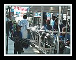 Tropical Angel Harps Youths_DSCN0402-ed.jpg