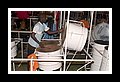 On The Drag -CRW_6177- Panorama 2006.jpg