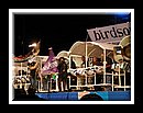 Bird_Song_DSCN0262Semi Finals 2006.JPG