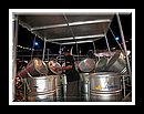 Desperadoes_DSCN4069Semi Finals 2006.JPG