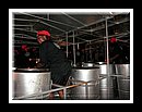 Exodus-DSCN3734Semi Finals 2006.JPG