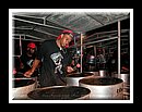 Exodus_DSCN3723Semi Finals 2006.JPG