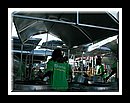 Angel_Harps_DSCN3566Semi Finals 2006.JPG