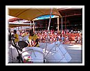 Harmonites_DSCN3573Semi Finals 2006.JPG