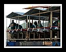 Hummingbird_DSCN0194Semi Finals 2006.JPG