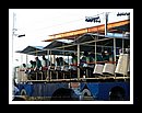 Hummingbird_DSCN0196Semi Finals 2006.JPG