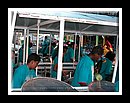 Hummingbird_DSCN3633Semi Finals 2006.JPG