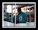 Hummingbird_DSCN3637Semi Finals 2006.JPG