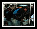 Parry_DSCN3616Semi Finals 2006.JPG