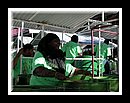 Vally_HarpsDSCN3506Semi Finals 2006.JPG