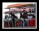 Flamingoes_DSCN0136Semi Finals 2006.JPG