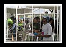 Pan Elders_CRW_5860Semi Finals 2006.jpg