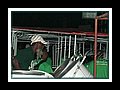 Curepe Scherzando__DSCN4249.JPG