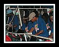 Harmonites_DSCN4290.JPG