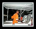 Pamberi__DSCN4274.JPG