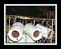 Potential Symphony__DSCN4191.JPG