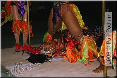 DSCF0484.jpg
