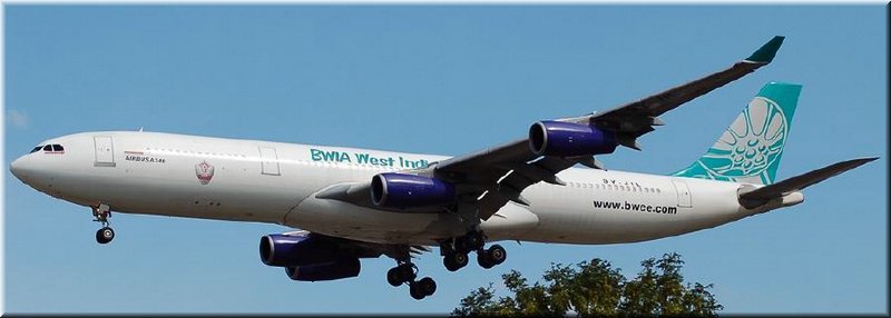 bwia_plane-white.jpg