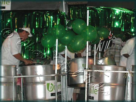 Arima Angel Harps__DSCN1405.JPG