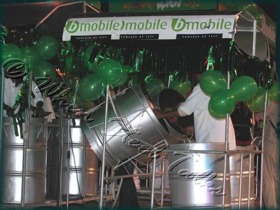 Arima Angel Harps__DSCN1406.JPG