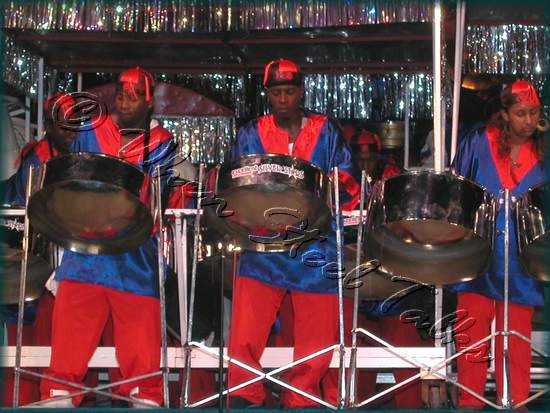 Silver Stars__DSCN1418.JPG