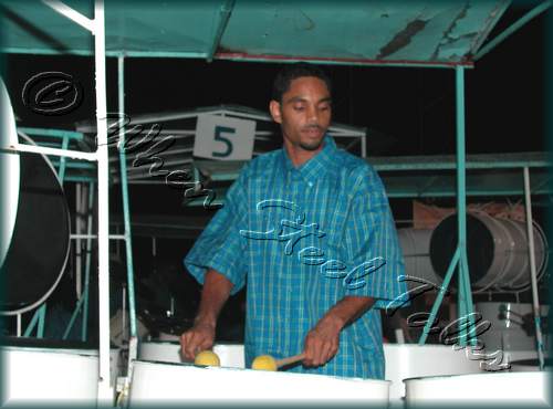 Fascinators Pan Symphony__DSCN0765.JPG