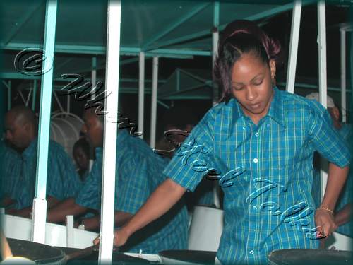 Fascinators Pan Symphony__DSCN0767.JPG