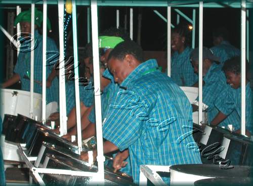 Fascinators Pan Symphony__DSCN0769.JPG