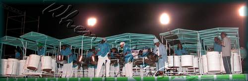 Fascinators Pan Symphony__DSCN0774.JPG