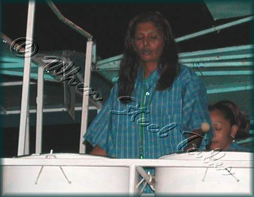 Fascinators Pan Symphony__DSCN0775.JPG