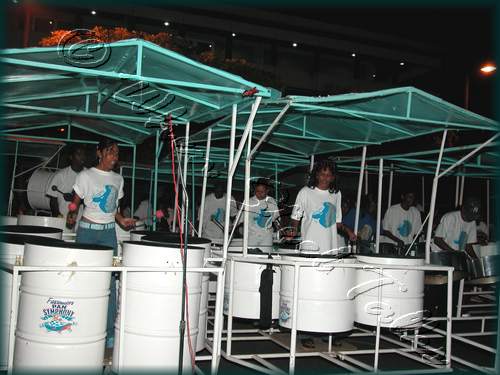 Fascinators Pan Symphony_DSCN4218.JPG