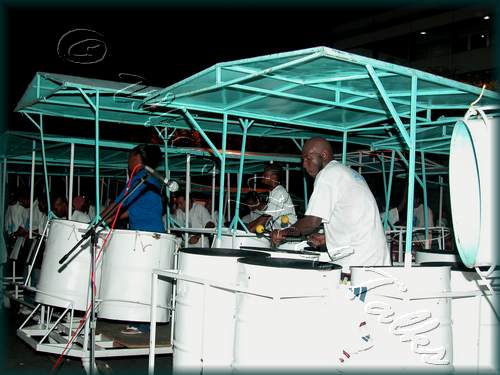 Fascinators Pan Symphony_DSCN4238.JPG