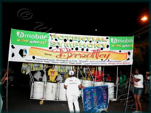 Potential Symphony__DSCN4178.JPG